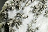 Native Silver in Calcite - Morocco #362755-1